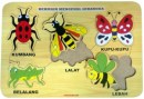 123-35-PuzzleMengenalSerangga
