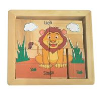 SINGA